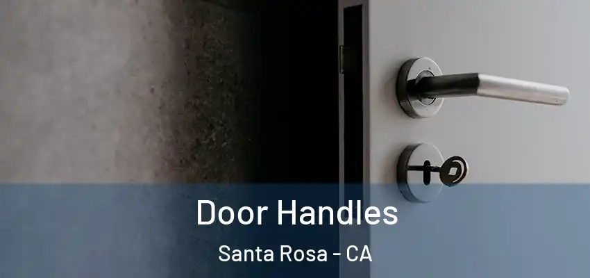  Door Handles Santa Rosa - CA