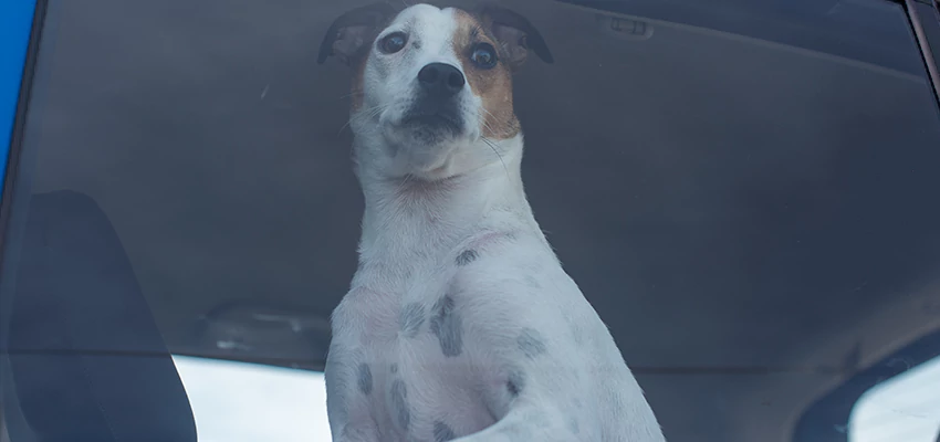 Car Lockout Solutions in Santa Rosa, California